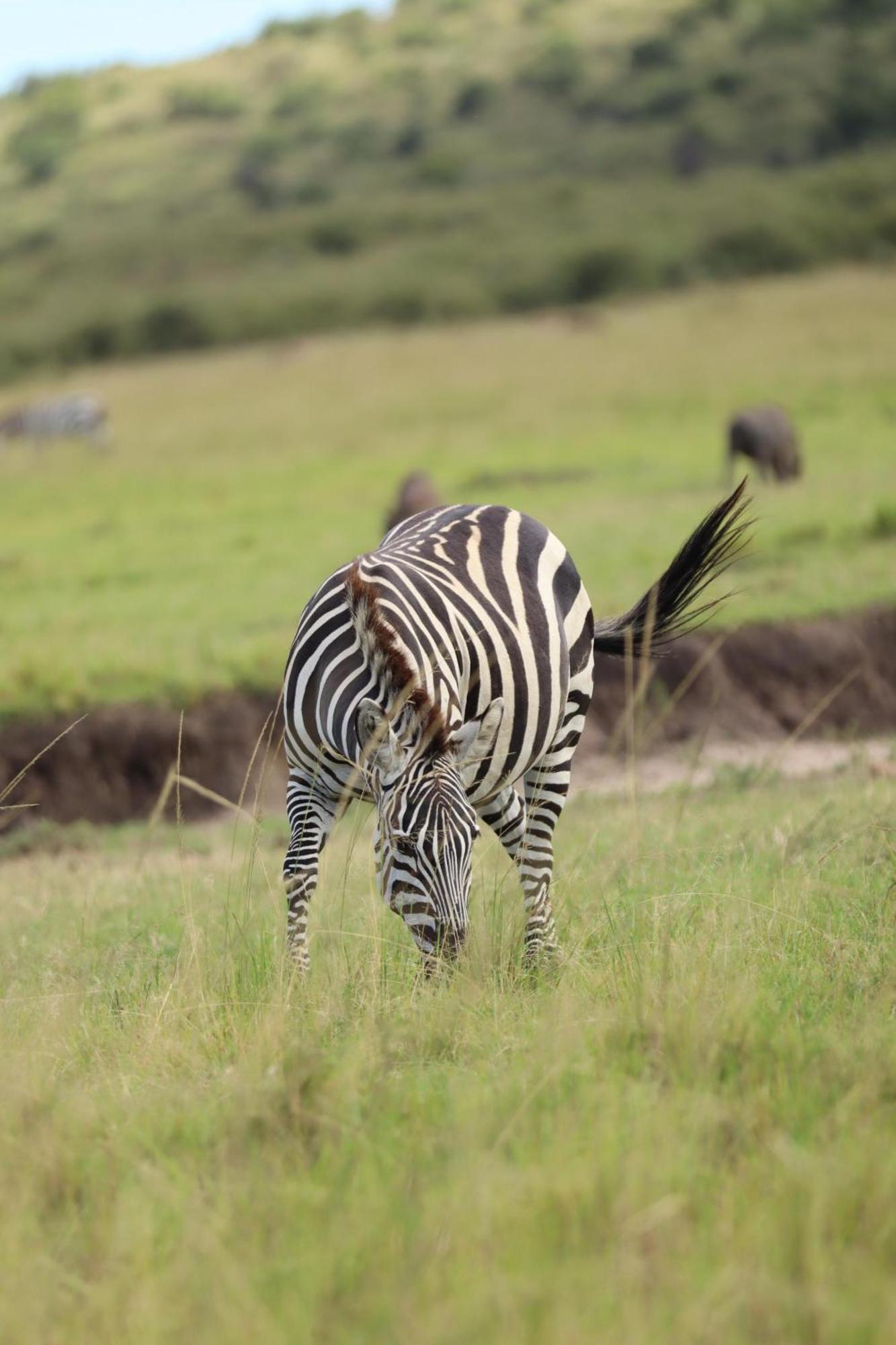 Ilkerin Camp Maasai Mara Bed & Breakfast Sekenani Bagian luar foto